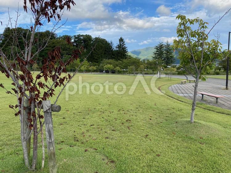 秋の公園　落ち葉　初秋 公園,9月,10月の写真素材