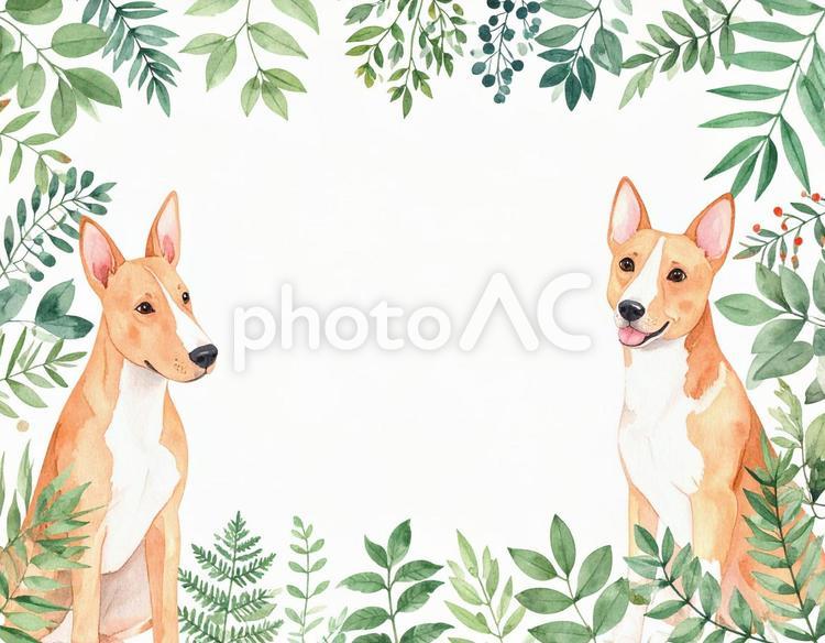 犬と植物のフレーム 犬,花,ペットの写真素材
