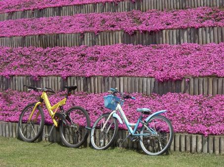 笠間芸術の森公園-3 笠間芸術の森公園-3の写真