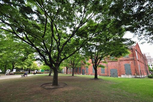 Photo, red tiles, red brick, the trees, 