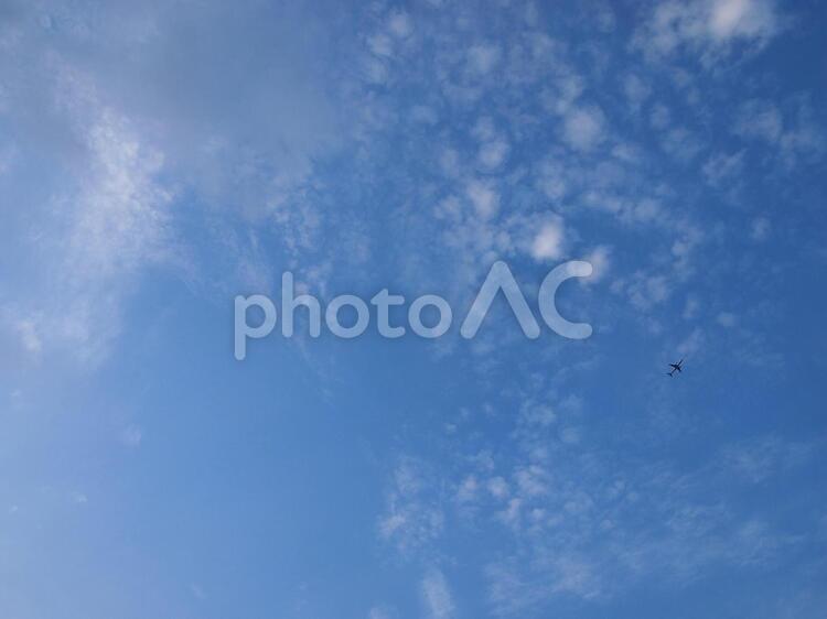 青空とちいさい飛行機 青,空,青空の写真素材