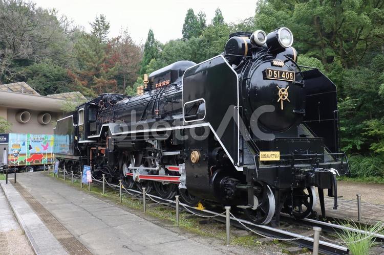 D51型蒸気機関車 生田公園,川崎,蒸気機関車の写真素材