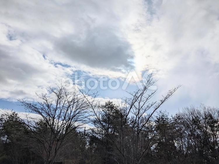 空と木 空,木,冬の写真素材