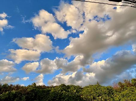 【風景写真】夏空 【風景写真】夏空 夏空,空,雲の写真素材