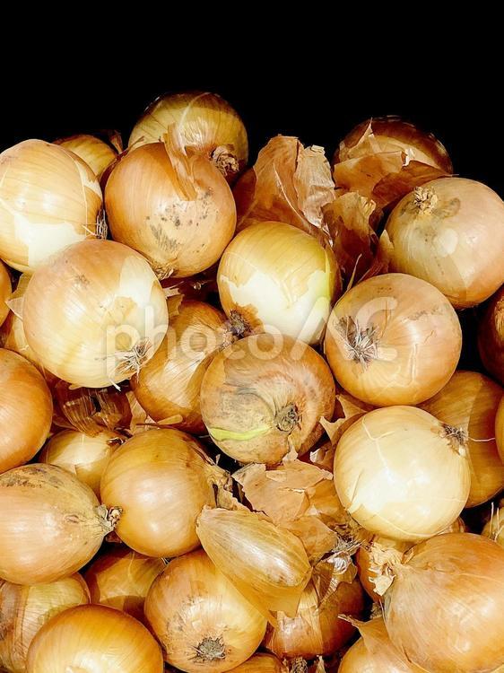 野菜・タマネギ タマネギ,玉ねぎ,玉葱の写真素材