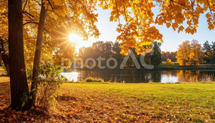 秋のイメージの風景写真 秋,風景,写真の写真素材