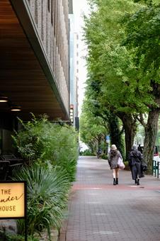 ［東京都港区］プラチナ通り｜白金台 白金台,白金,プラチナ通りの写真素材