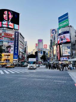 秋・冬の夕方の渋谷スクランブル交差点 秋・冬の夕方の渋谷スクランブル交差点 渋谷,東京,都会の写真素材