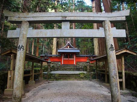 龍穴神社 龍穴神社,本殿,神社の写真素材