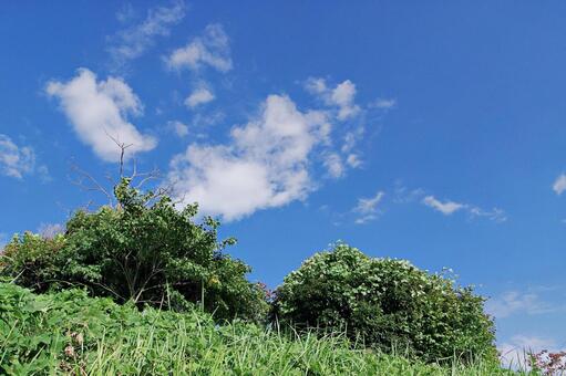 草地の上の9月の青空 青空,秋空,晴れの写真素材