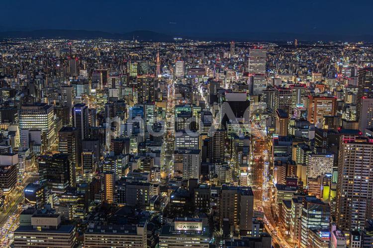 都市夜景 都市夜景,夜景,夜の写真素材