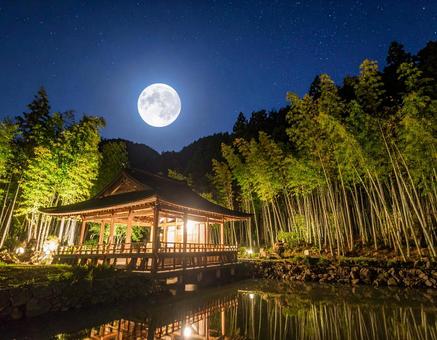 Moonlit bamboo forest and starry sky on the night of Tanabata, tanabata, moonlight, full moon, JPG
