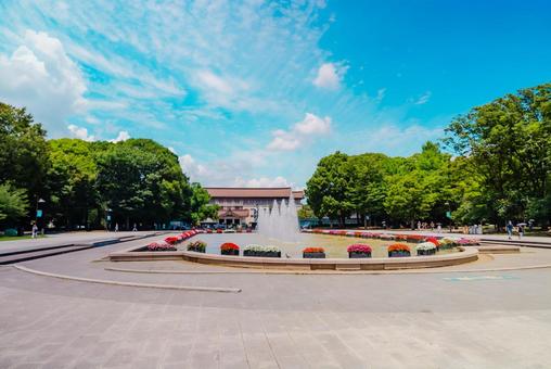 【東京】上野駅の周辺 上野公園 2025 【東京】上野駅の周辺 上野公園 2025の写真
