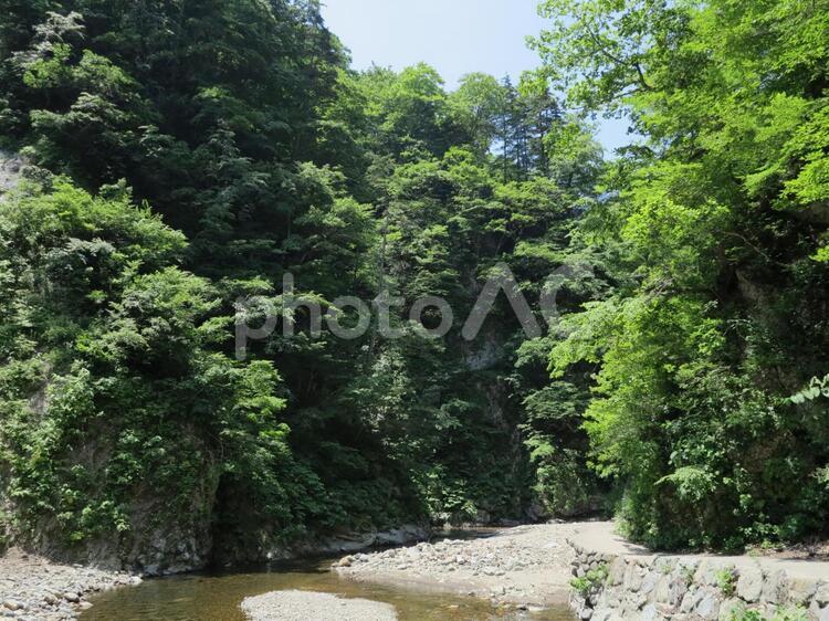 白神山地　暗門の滝コース アウトドア,トレッキング,ハイキングの写真素材