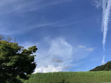 夏空 夏空の写真