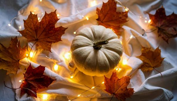 白いパンプキンと紅葉とフェアリーライトの写真