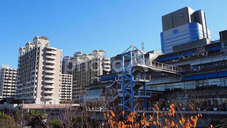 台場駅・駅付近の街並み（東京都・お台場） 冬,ゆりかもめ,台場駅の写真素材