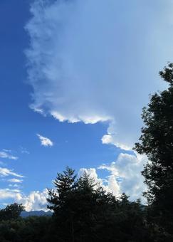 林の奥に湧き立つ入道雲(縦) 林の奥に湧き立つ入道雲(縦)の写真
