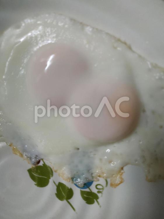 双子の目玉焼き 双子,目玉焼き,朝食の写真素材