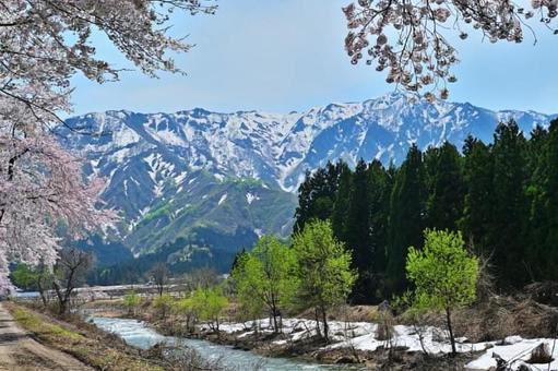 雪国の春の風景の写真