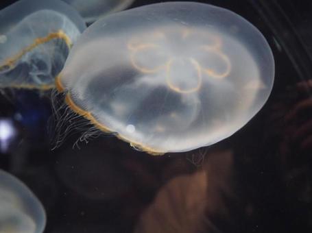 海 海の写真