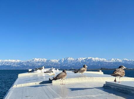 立山連峰と富山湾とうみねこ 海,富山湾,船の写真素材