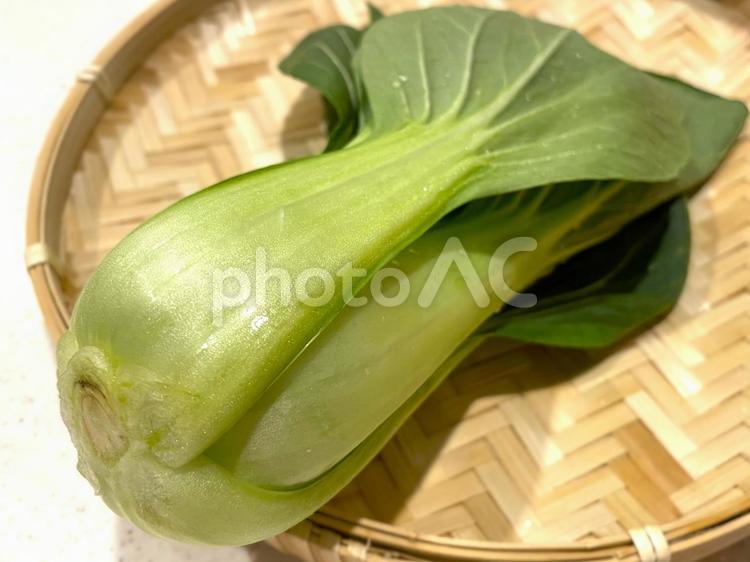 生でも食べられる新鮮なチンゲン菜５ チンゲン菜,タイサイ,中華の写真素材