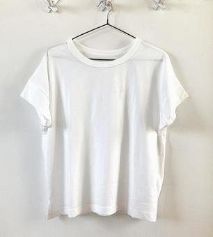 白いTシャツ 白いTシャツ 白いtシャツ,tシャツ,白の写真素材
