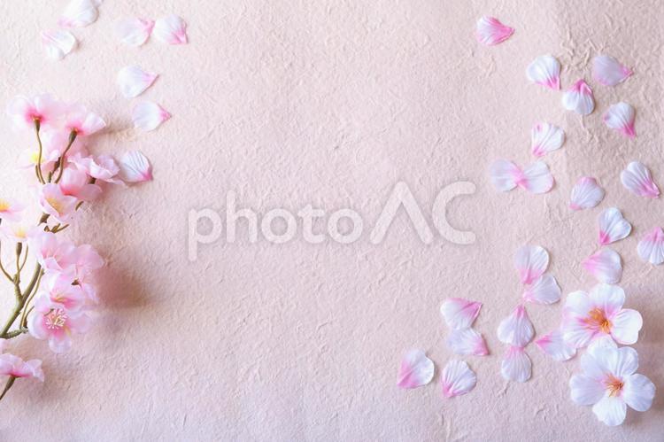 桜のフレーム　春素材 桜,桜の花,桜の花びらの写真素材