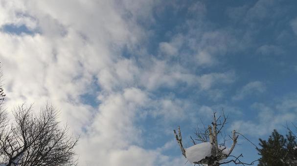 背景素材シリーズ(青空)31 背景素材シリーズ(青空)31の写真