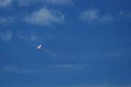 飛行機と青空 飛行機と青空の写真