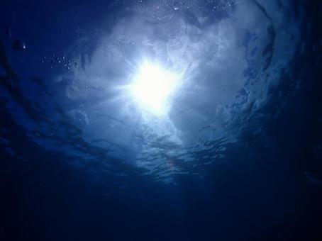 石垣島海底から海面を臨む 石垣島海底から海面を臨む 沖縄,石垣島,スキューバダイビングの写真素材