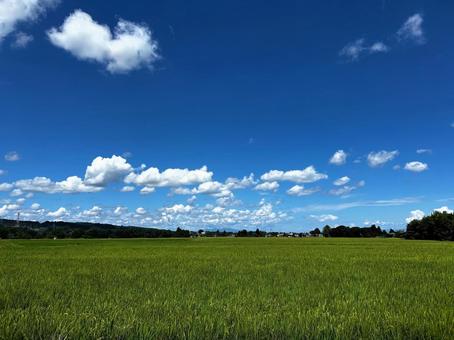 青空と田園風景 青空と田園風景の写真