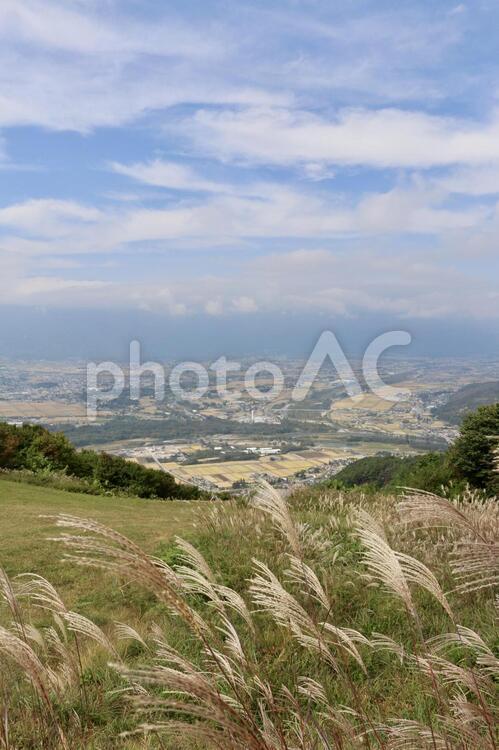 すすき越しに見える安曇野の田園風景 秋,安曇野,長野県の写真素材