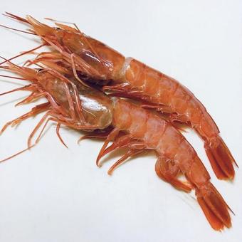 赤えび 赤えび,えび,海老の写真素材