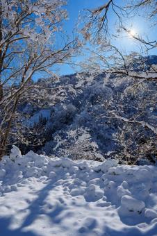 250320秋山郷清水川原、結東 250320秋山郷清水川原、結東の写真
