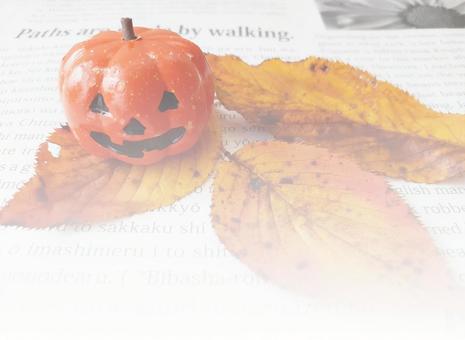 パンプキンと落ち葉の背景1 パンプキンと落ち葉の背景1 ハロウィン,パンプキン,落ち葉の写真素材