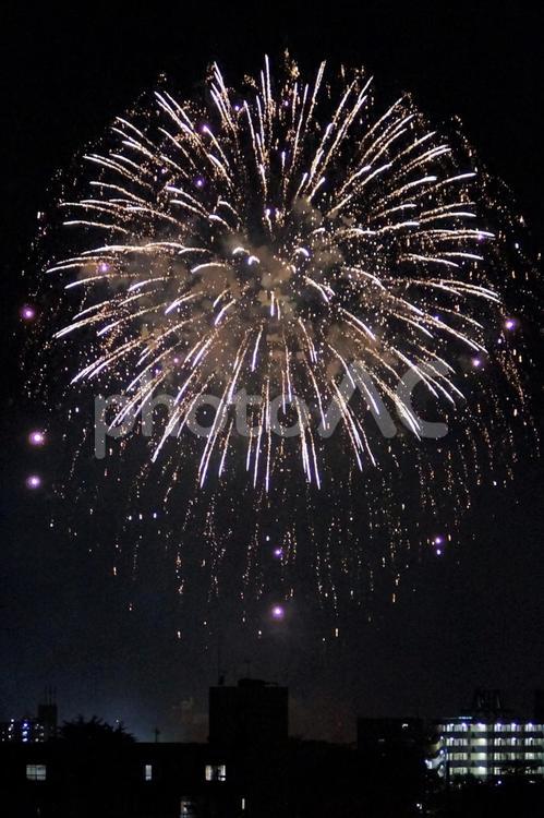 夏の夜空に咲く大輪の打ち上げ花火 打ち上げ花火,花火,夏祭りの写真素材