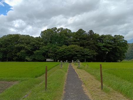 農道02 農道02の写真