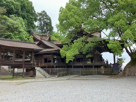 金刀比羅宮の御本宮 金刀比羅宮の御本宮 金刀比羅宮,こんぴらさん,神社の写真素材