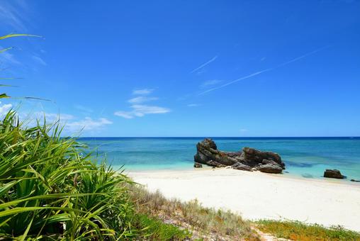 Beautiful beaches of tropical Okinawa, ওকিনাওয়া, সমুদ্র, সৈকত, JPG