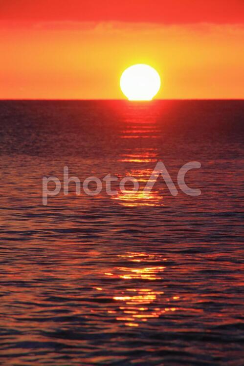 海と太陽(縦) 太陽,初日の出,元旦の写真素材