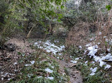 佐和山城の入り口 佐和山城の入り口 佐和山城,山,雪の写真素材