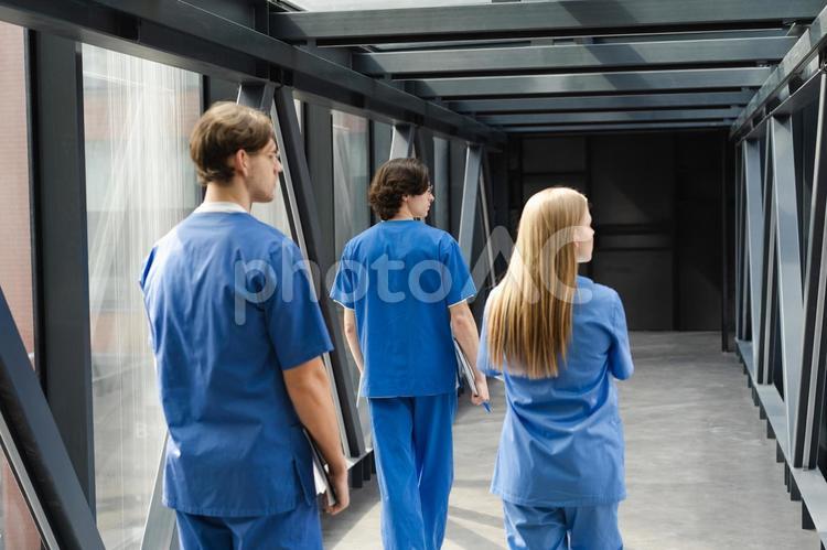 廊下を歩く医療従事者たちの後ろ姿 男性,女性,人物の写真素材