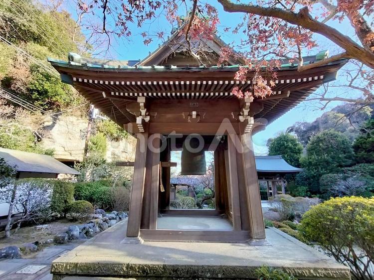 鎌倉　扇谷山「海蔵寺」鐘楼 海蔵寺,鐘楼,扇谷山の写真素材