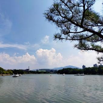 公園 公園 福岡,夏,風景の写真素材