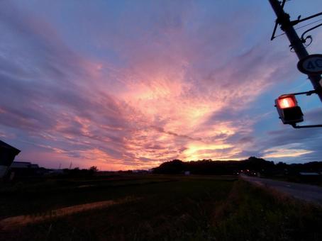 夕焼けと信号 夕日,秋,赤の写真素材
