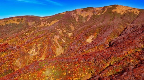神の絨毯と栗駒山の頂上 神の絨毯と栗駒山の頂上 山,秋,紅葉の写真素材