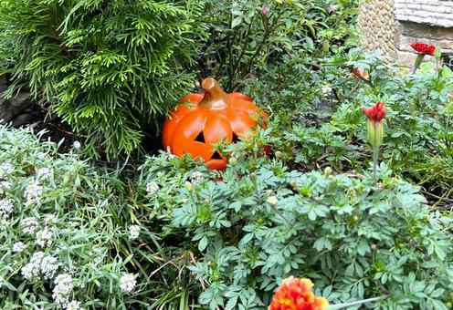 かくれんぼ かくれんぼ ハロウィン,ガーデニング,風景の写真素材