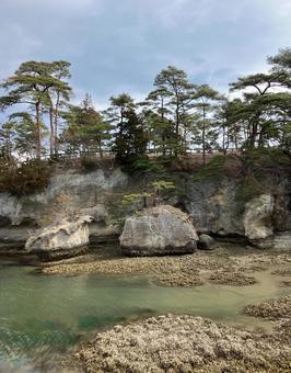 松島 島の中の景色 01 松島 島の中の景色 01 宮城県,松島,観光の写真素材